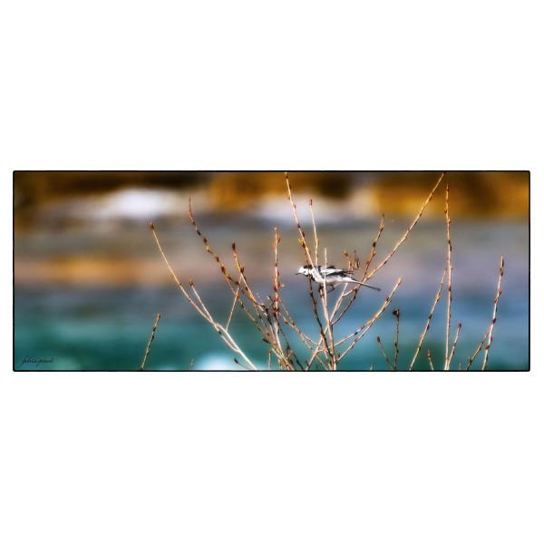 PHOTO84, CLUB, 84 , LUBERON